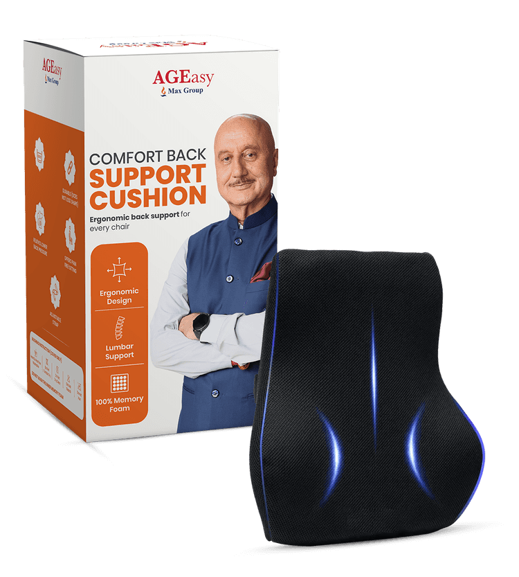 AGEasy Lumbar Back Support