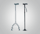Walking Sticks